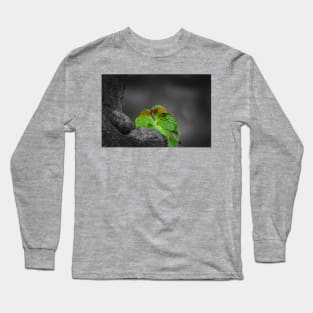 Musk Lorikeets_6379A Long Sleeve T-Shirt